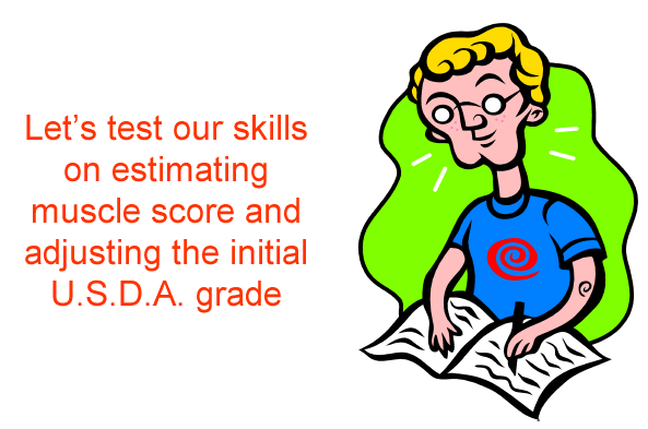 Lets test our skills estimate muscle score
