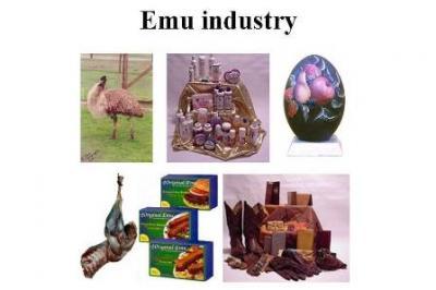 Emu products