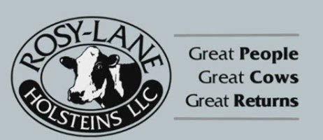 Rosy Lane Holsteins LLC Great People, Great Cows, Great Returns