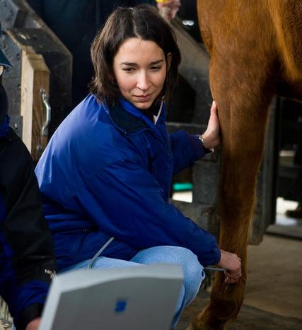 Woman Inspecting an Animal's Leg