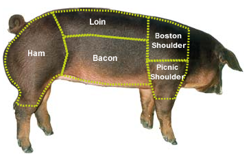 Swine with cuts labeled