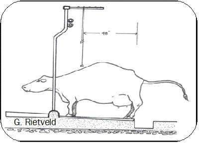 A diagram of a tie stall trainer