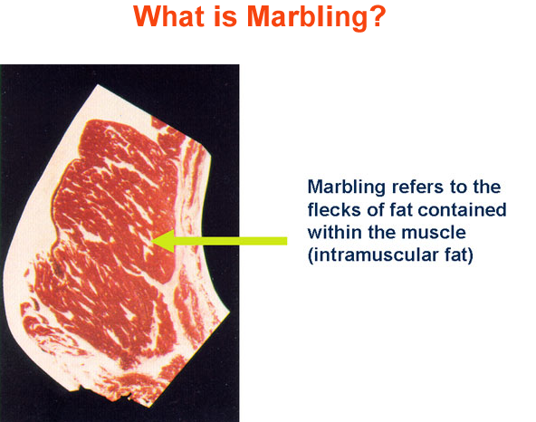 What is Marbling 