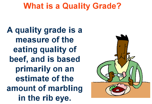 What is Quality Grade