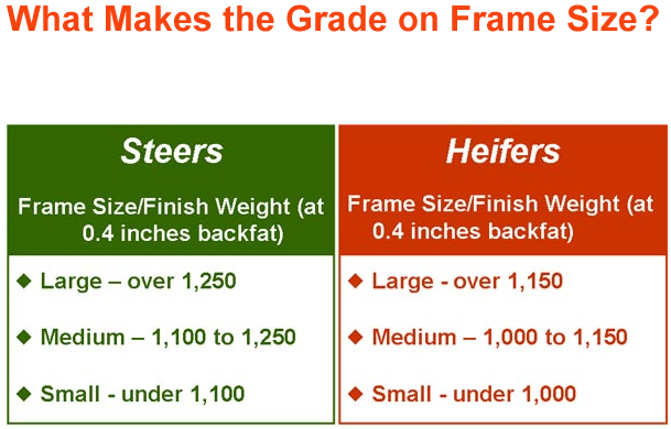 What Makes the Grade on Frame Size