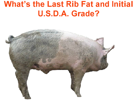 whats the last rib fat and initial usda grade3