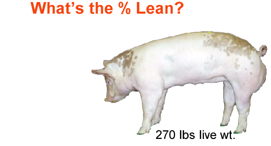 whats the percent lean1
