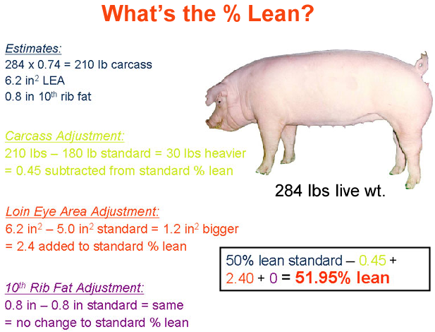 whats the percent lean2 answer