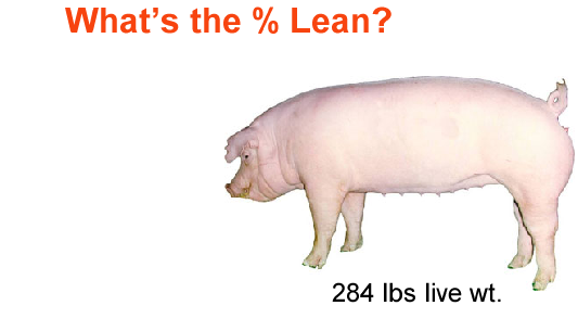 whats the percent lean2