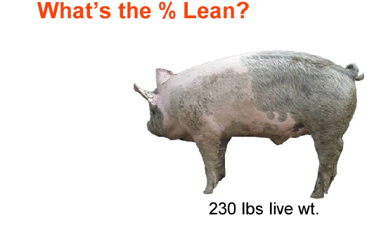 whats the percent lean3