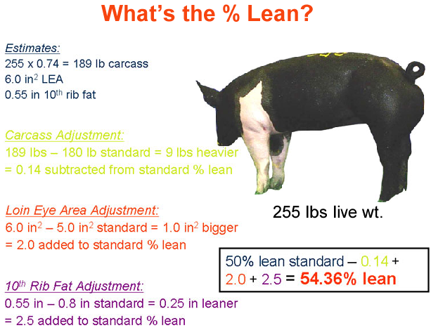whats the percent lean4 answer