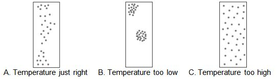 Figure 10.2