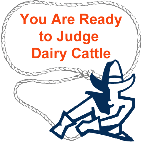 You are ready to judge dairy cattle