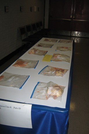 Chicken parts on a table