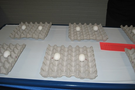 Eggs in a carton