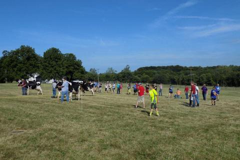 People and their dairy cows participate in the 2015 state judging contest