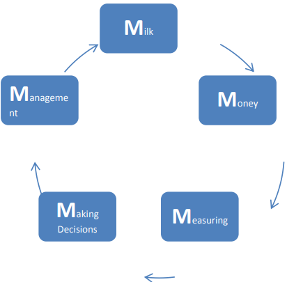 Figure showing a circle of Money > Measuring > Making Decisions > Management > Milk